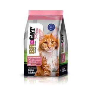 BR FOR CAT SALMON 10KG