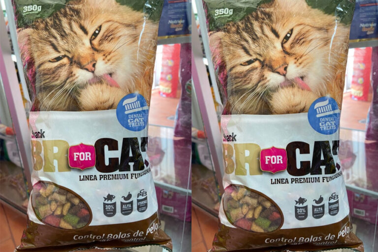 Lee más sobre el artículo BR for Cat: Innovación en la Nutrición Felina
