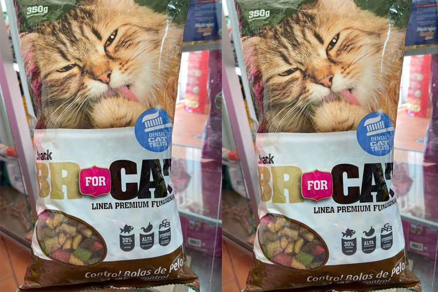 En este momento estás viendo BR for Cat: Innovación en la Nutrición Felina
