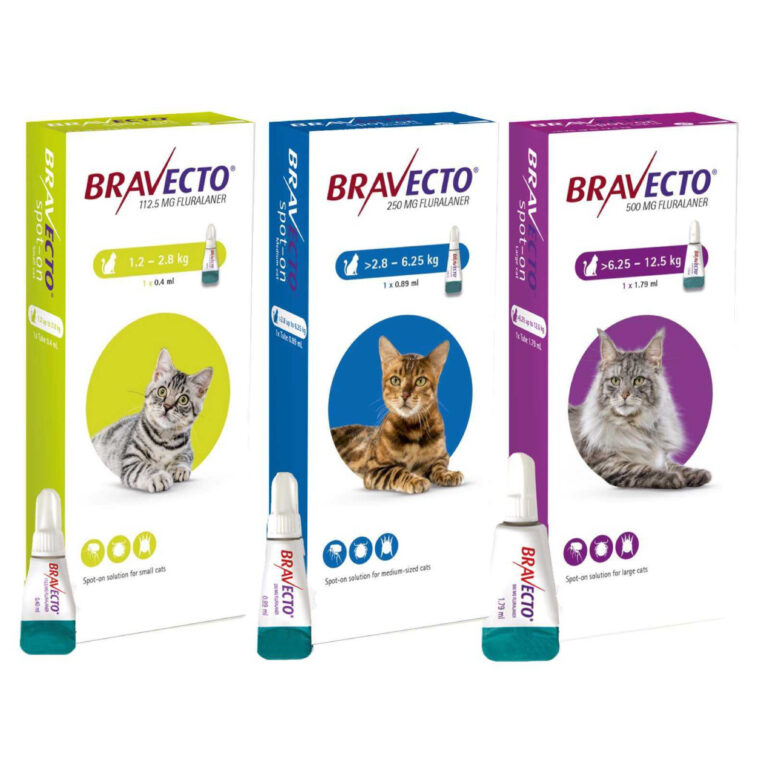 Lee más sobre el artículo Bravecto para Gatos: Protección Eficaz contra Pulgas y Garrapatas