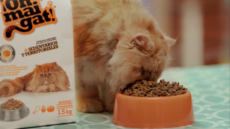 Lee más sobre el artículo Alimentando la Obsesión por los Gatos con ¡Oh Mai Gat! Food