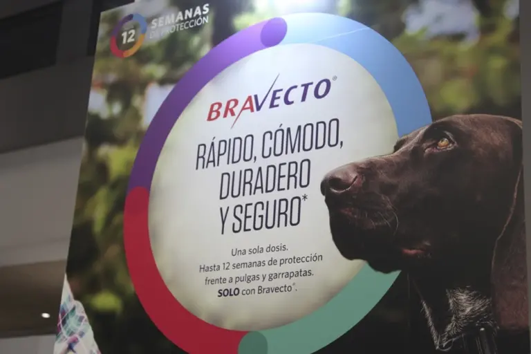 Lee más sobre el artículo Bravecto para Perros: Una Solución Efectiva y Segura contra las Pulgas y Garrapatas