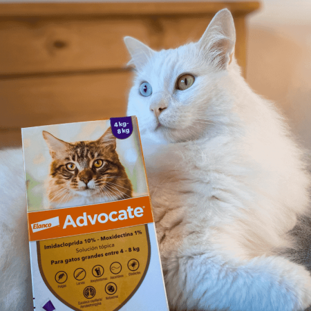 En este momento estás viendo Advocate para gatos: Protección integral contra parásitos
