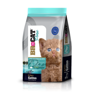 Br For Cat Pure Gatitos Salmón 3 KG